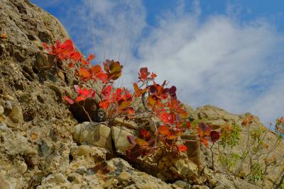 Прикрепленное изображение: 1.JPG